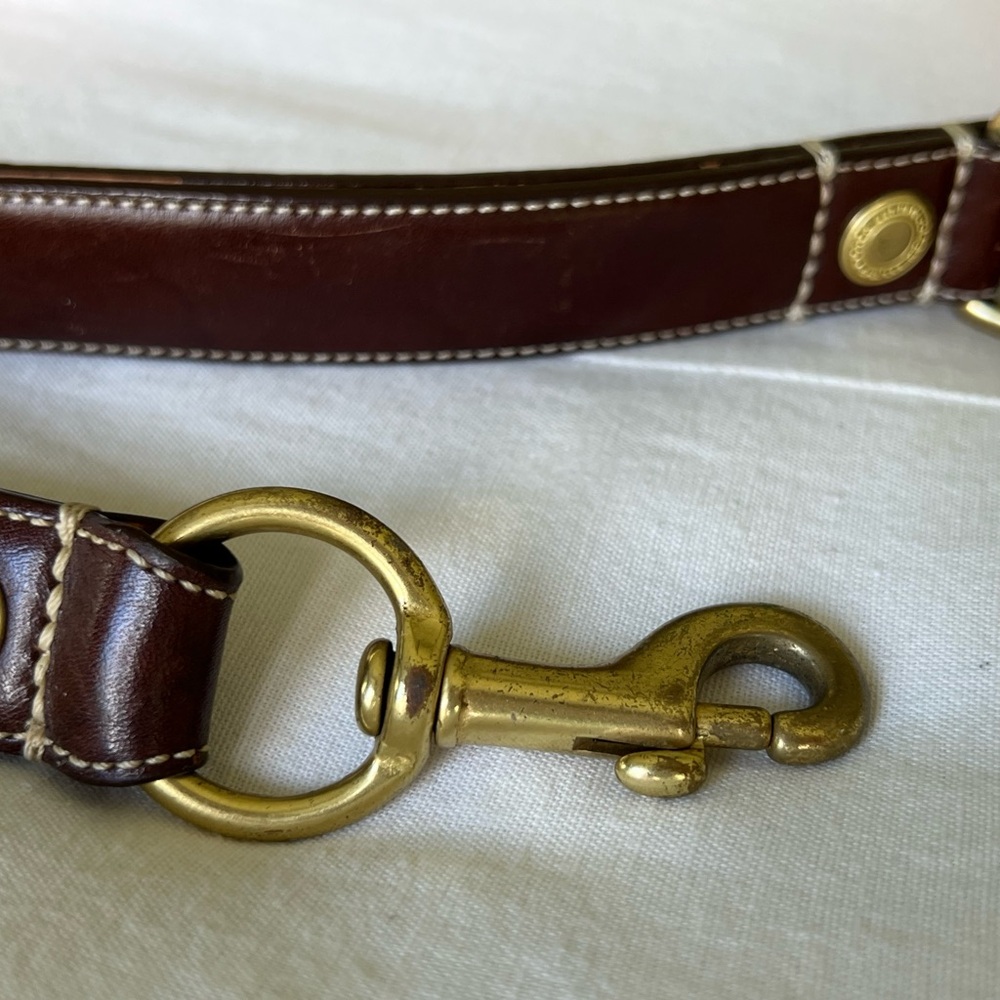 Coach dog leash